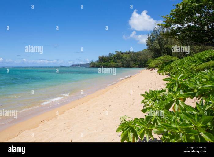 Anini beach kauai kilauea parrish collection rentals